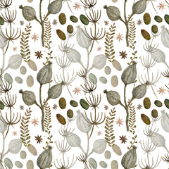 Dried flowers and plants hand drawn, seamless watercolor botanical pattern on white background