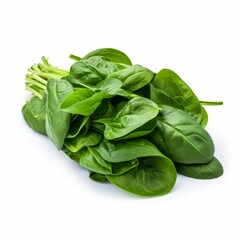 Fototapeta premium Bunch of spinach leaves on isolated white background