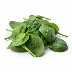 Fototapeta premium Bunch of spinach leaves on isolated white background