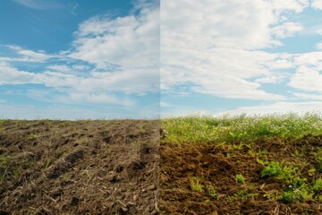 A field showing before and after effects of soil management, with one side barren and the other lush with flowers and greenery.