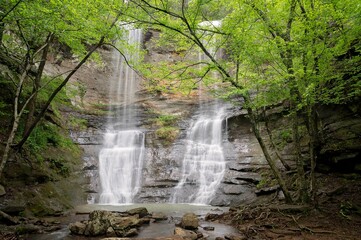 Majestic High Bank Falls amidst lush forest setting