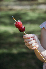 Close up of child holding tanghulu candied fruit snack