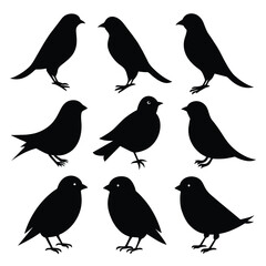 Set of Finches black Silhouette Vector on a white background