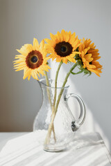 Three sunflowers in a clear glass vase, bathed in sunlight