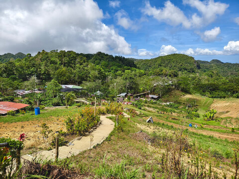 MUSFA Bohol Organic & Strawberry Farm in Jagna, Bohol.