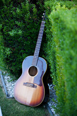 Acoustic guitar resting against green bushes outdoors.
