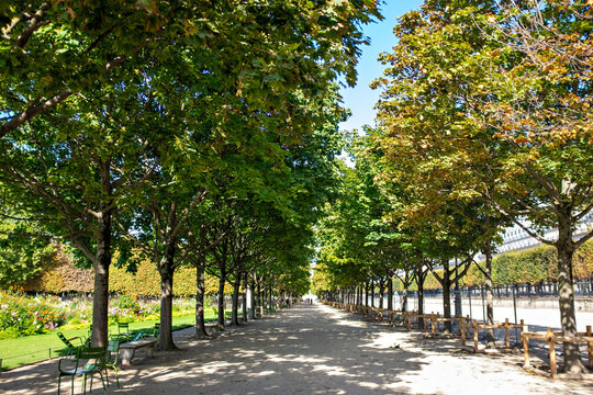 Tranquil tree-lined pathway in a Paris garden with sunlight.