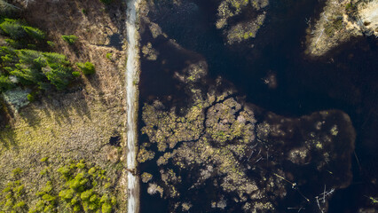 Aerial View of Pristine Marshland and Forest Pathways in Ontario