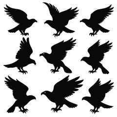 Set of Hawk black Silhouette Vector on a white background