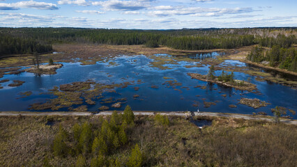 Solo Hike Along Wooded Trail by Lake Wanapitei in Ontario