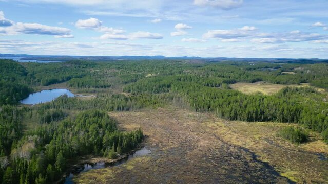 Expansive Wetlands and Rugged Terrain of Greater Sudbury from Above