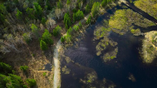 Drone Footage Exploring Dark Water Pools Amidst Lush Temagami Forests