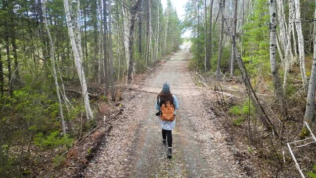 Explorative Trek on a Scenic Trail by Lake Wanapitei, Greater Sudbury
