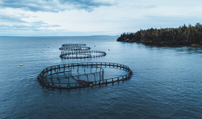 Nets and cages of an Atlantic Salmon fish farm, New Brunswick, Canada