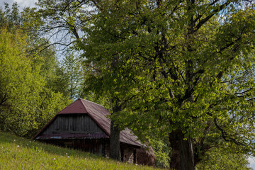 Romanian landscapes