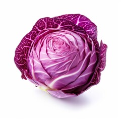 Obraz premium whole red cabbage isolated on white