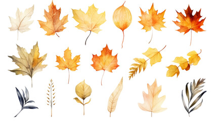 Fototapeta premium Collection of autumn-themed watercolor 