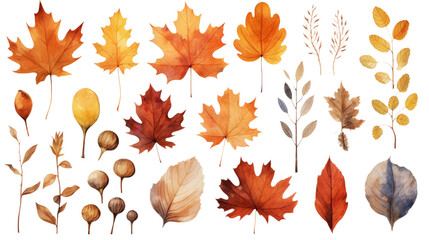  Collection of autumn-themed watercolor 