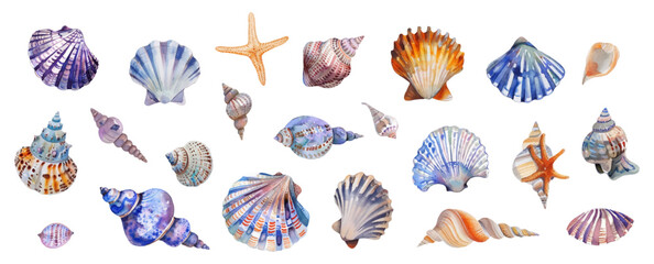 Set of watercolor seashells on isolated background. Various sea shells png. Watercolor elements of the sea beach. Vector illustration