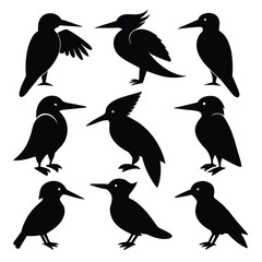Set of Kingfisher animal black Silhouette Vector on a white background