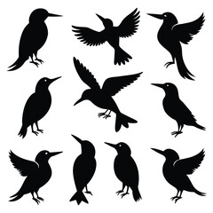 Set of Kingfisher animal black Silhouette Vector on a white background