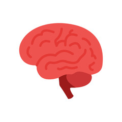 Brain  Flat icon