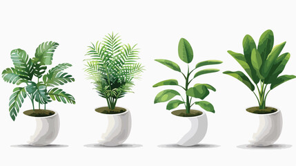 Green plant in pot for home and office decoration. 