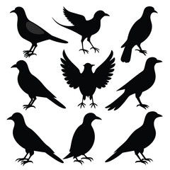 Set of Magpie animal black Silhouette Vector on a white background