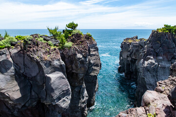 春の城ヶ崎海岸（静岡県）