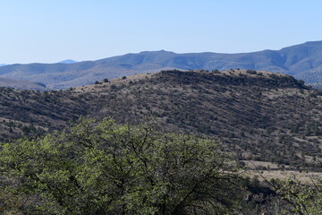 landscape with blue sky
