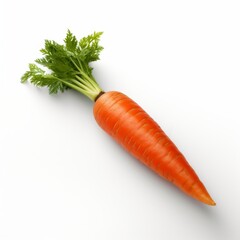 fresh carrot on white background