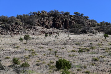 landscape with blue sky