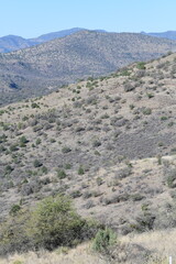 view of the mountains