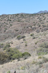 landscape with blue sky