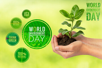 World environment day banner and eco logo collections with green plant in girl hand over blurred nature background, eco banner design idea