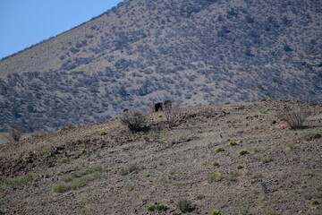 landscape with mountains and sky