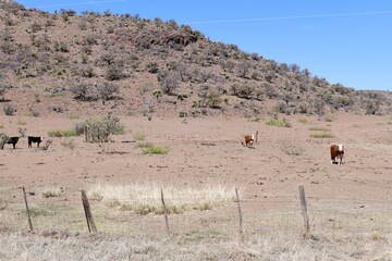 landscape with blue sky