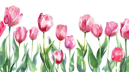 Pink tulips watercolor border background backdrop isolated