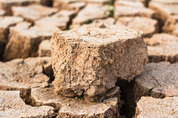 The soil is dry and cracked in the dry season.
