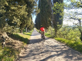 ragazzo in bici nel viale di cipressi