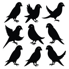 Set of Parakeet black Silhouette Vector on a white background