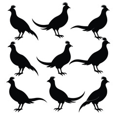 Set of Pheasant animal black Silhouette Vector on a white background