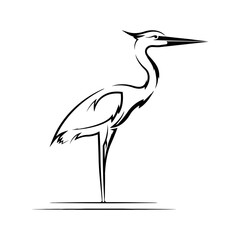 heron bird