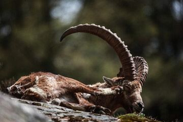 Szwajcaria © marcinbawiec