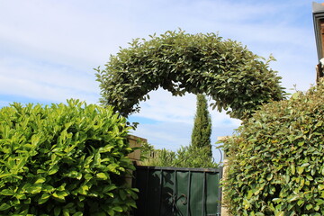Arche de jardin, au-dessus du portillon entrée de la maison