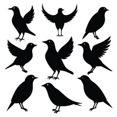 Set of Starling animal black Silhouette Vector on a white background