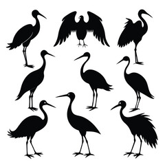 Set of Stork black Silhouette Vector on a white background