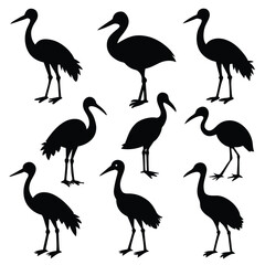 Set of Stork black Silhouette Vector on a white background