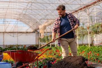 A worker shoveling soil into a wheelbarrow in a vibrant greenhouse, surrounded by blooming flowers...