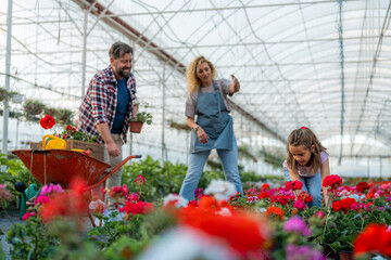 A family working together in a greenhouse, with the father placing flowers in a wheelbarrow, the...
